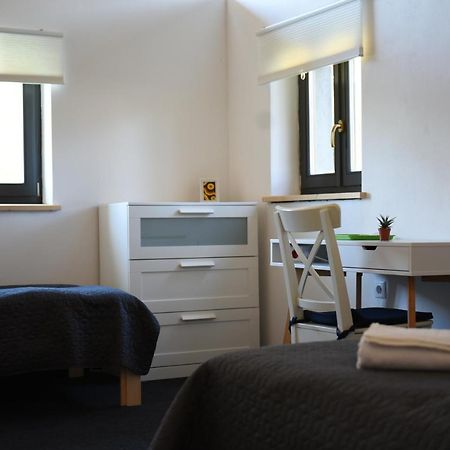 Bed and Breakfast Aster Panzio Cîmpu Cetăţii Exteriér fotografie