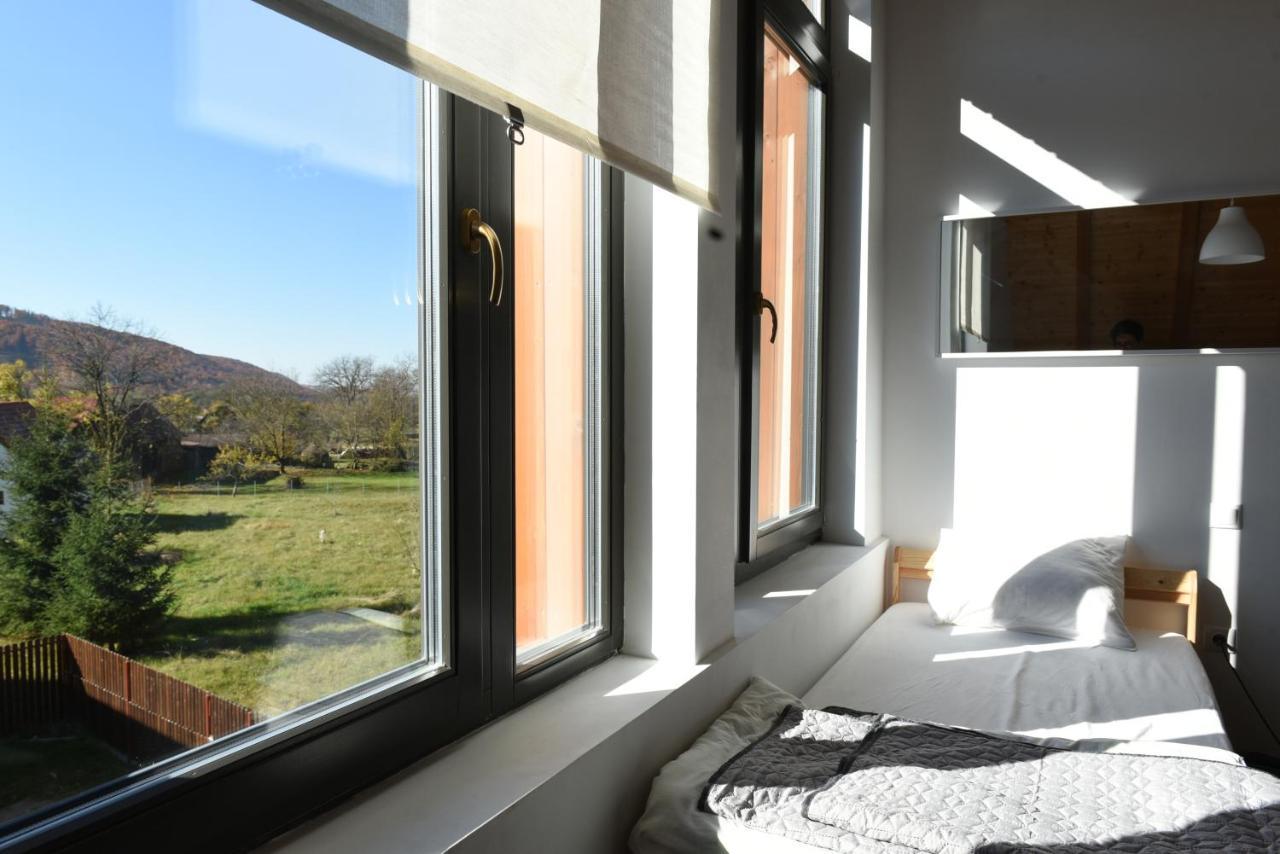 Bed and Breakfast Aster Panzio Cîmpu Cetăţii Exteriér fotografie