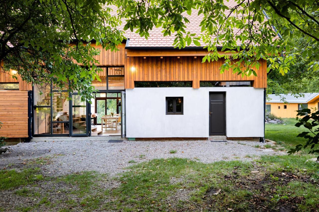 Bed and Breakfast Aster Panzio Cîmpu Cetăţii Exteriér fotografie