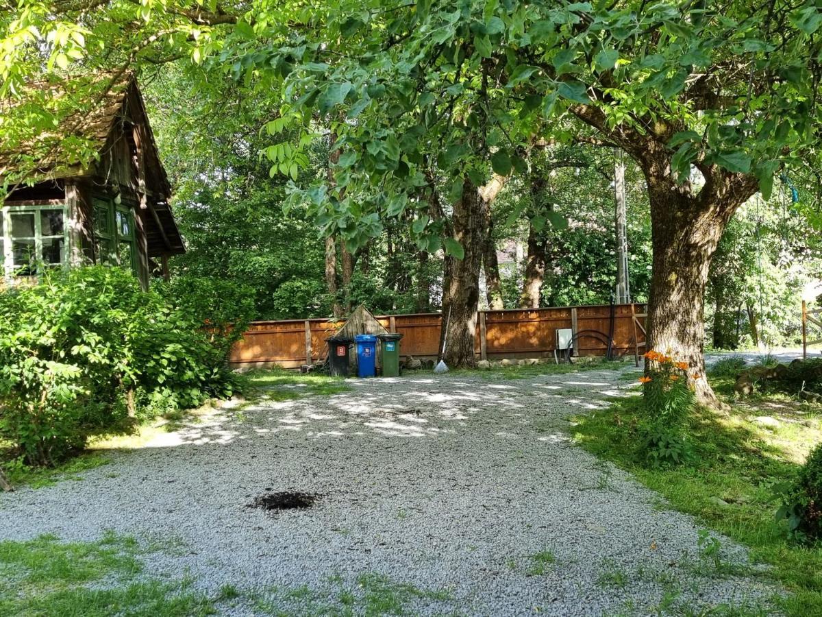 Bed and Breakfast Aster Panzio Cîmpu Cetăţii Exteriér fotografie