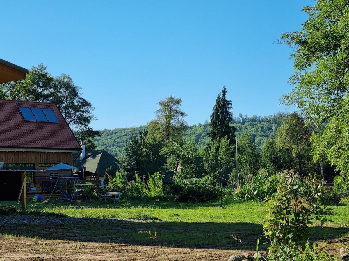 Bed and Breakfast Aster Panzio Cîmpu Cetăţii Exteriér fotografie