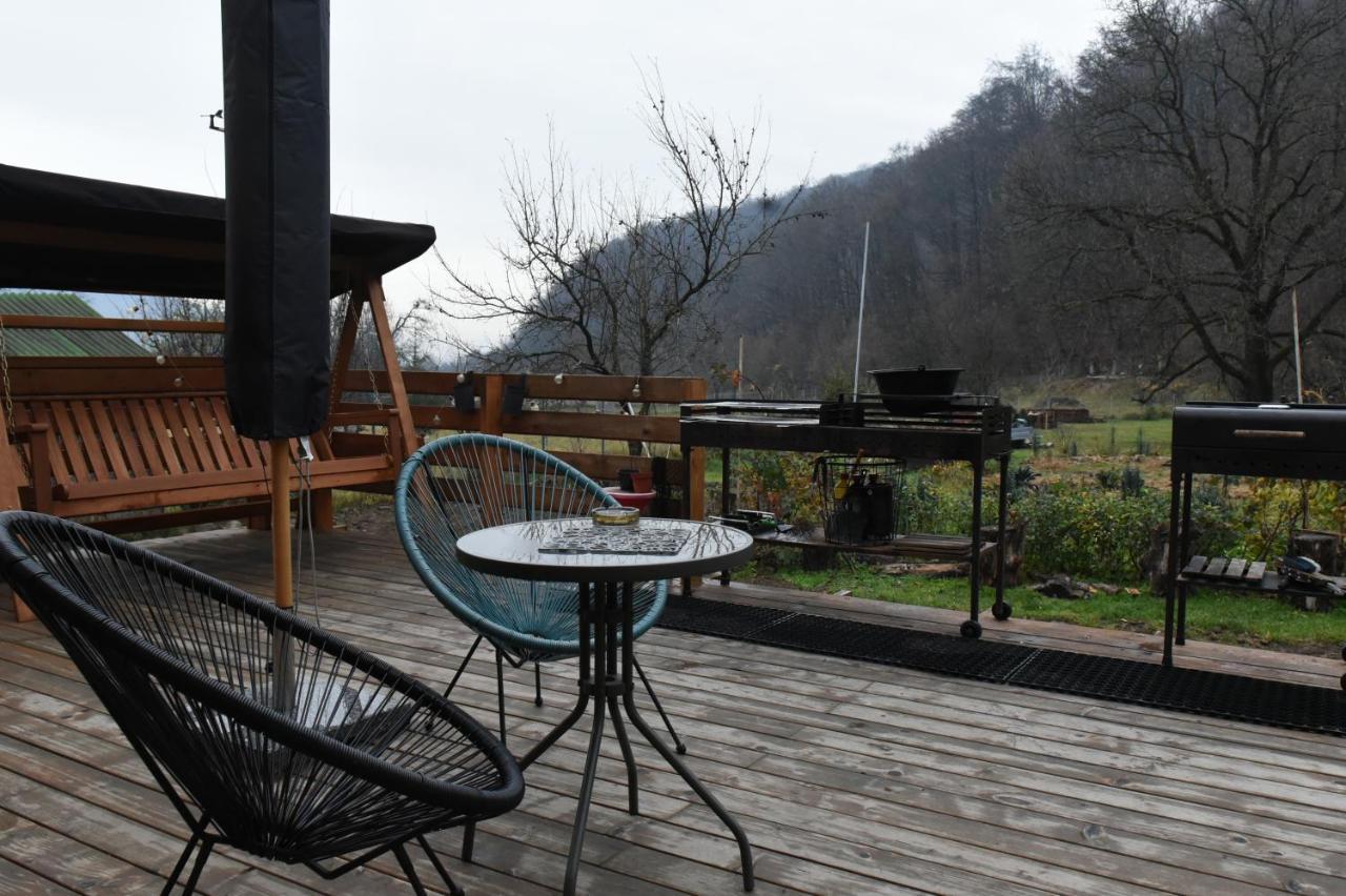 Bed and Breakfast Aster Panzio Cîmpu Cetăţii Exteriér fotografie