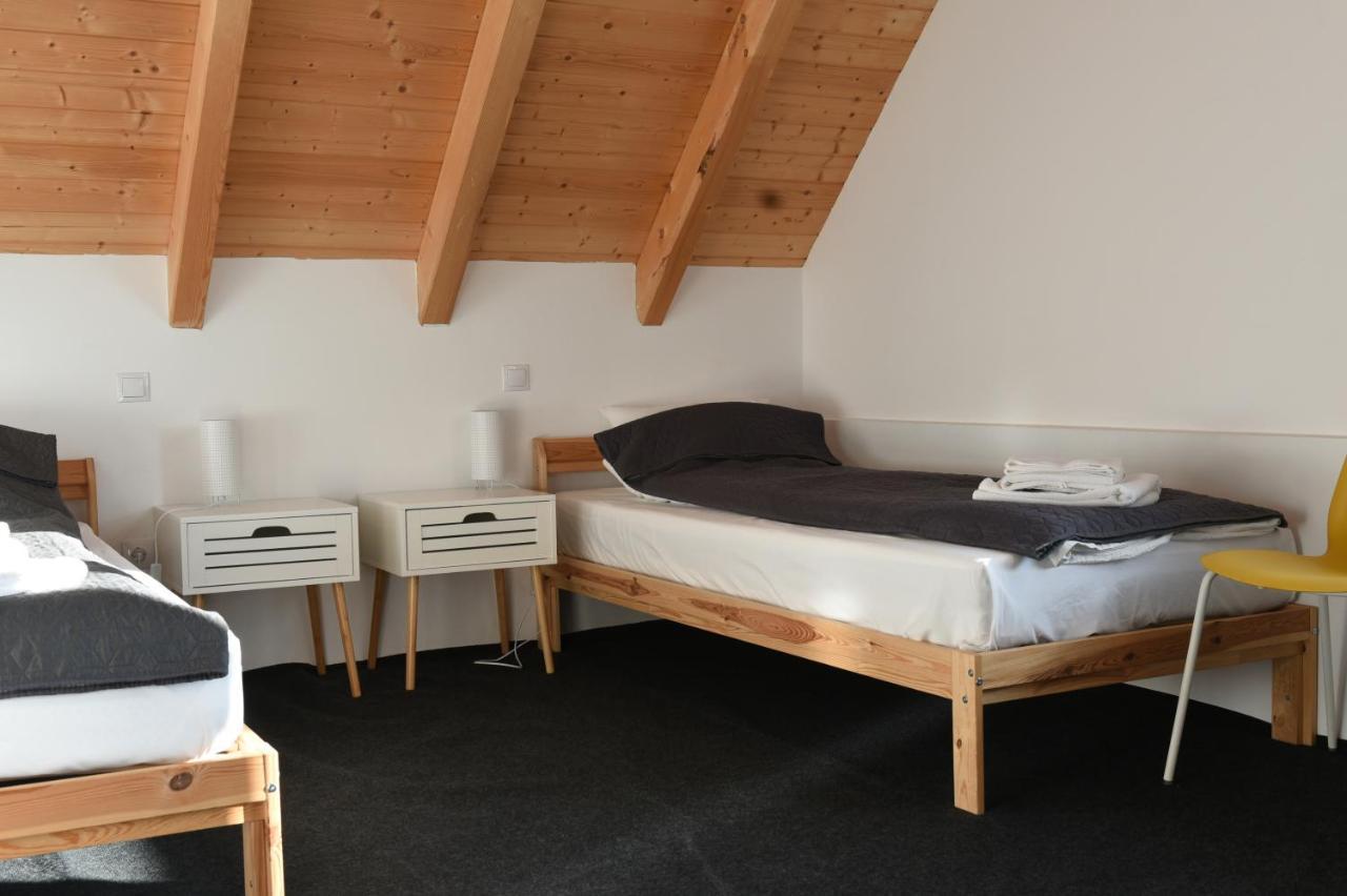 Bed and Breakfast Aster Panzio Cîmpu Cetăţii Exteriér fotografie