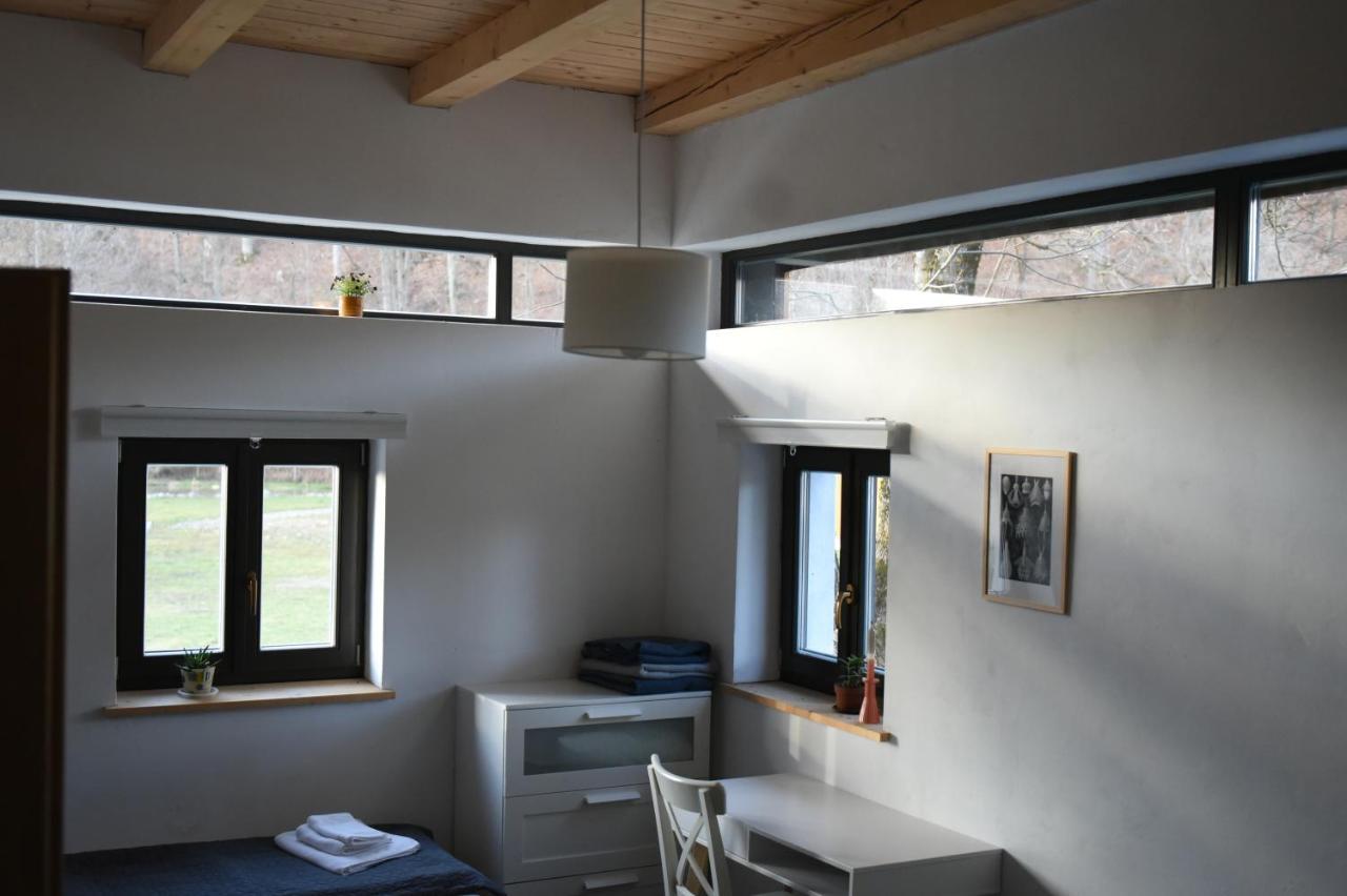 Bed and Breakfast Aster Panzio Cîmpu Cetăţii Exteriér fotografie